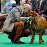 Guusje & Matthew Crufts 2014